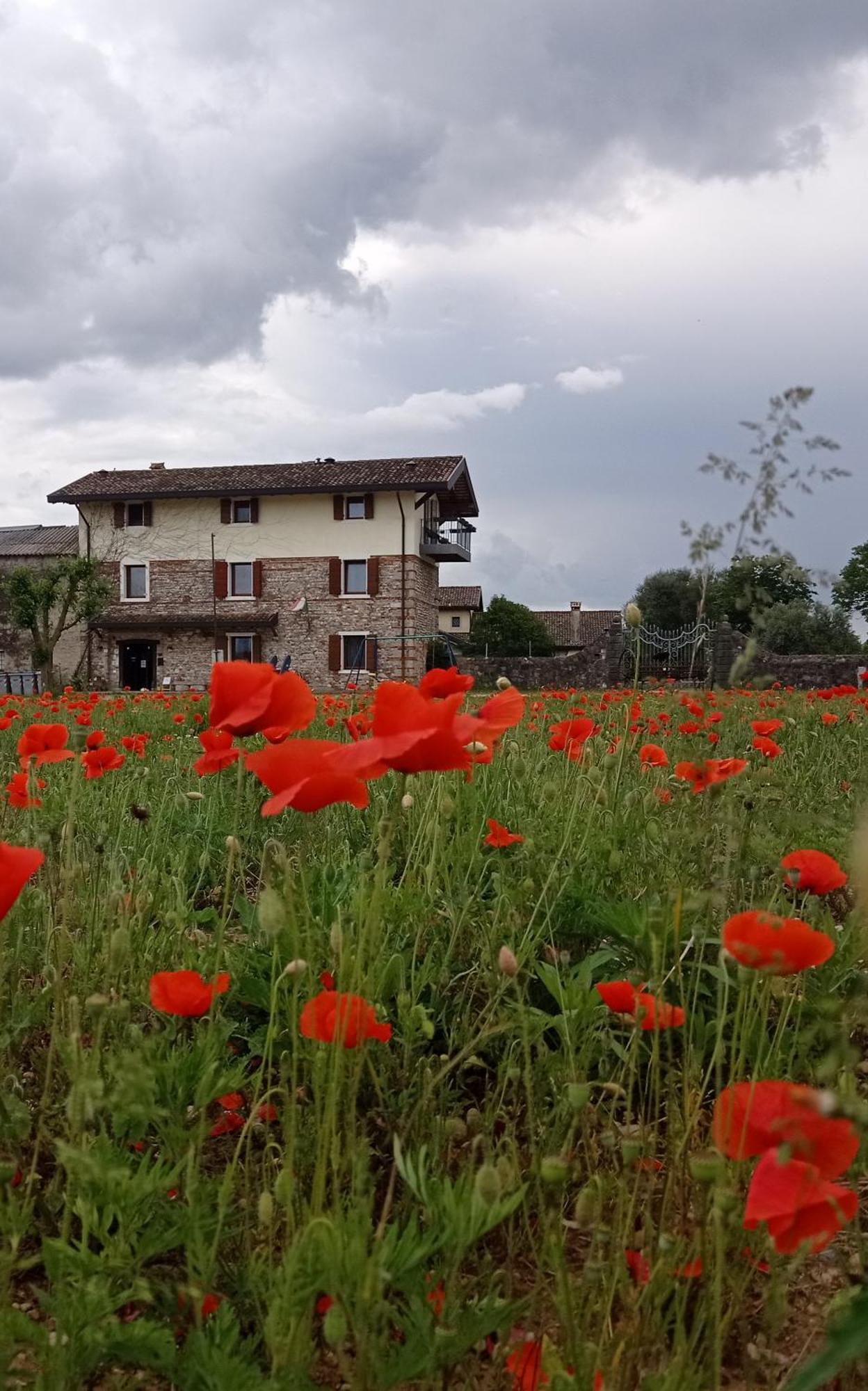 Villa Casal Micelio Udine Esterno foto